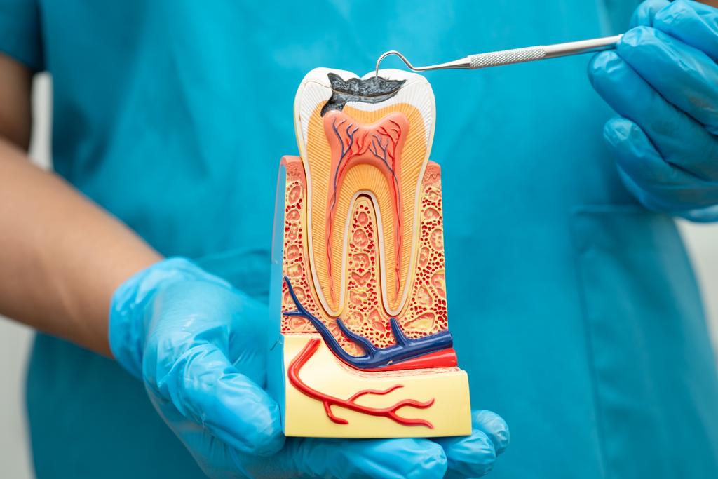 Periodontal Scaling & Root Planing